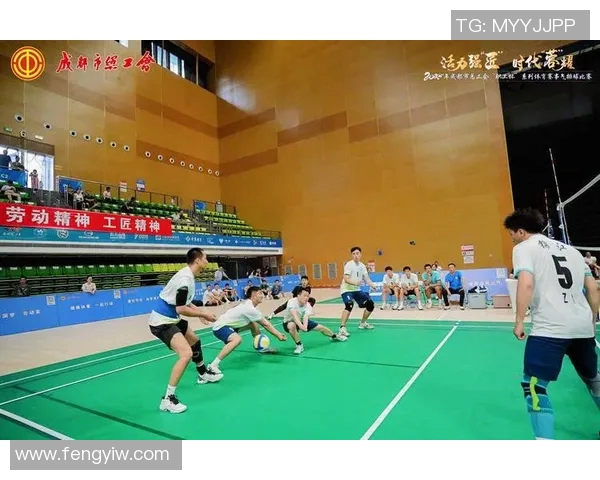 成都排球队精英赛精彩配合分析与表现评估